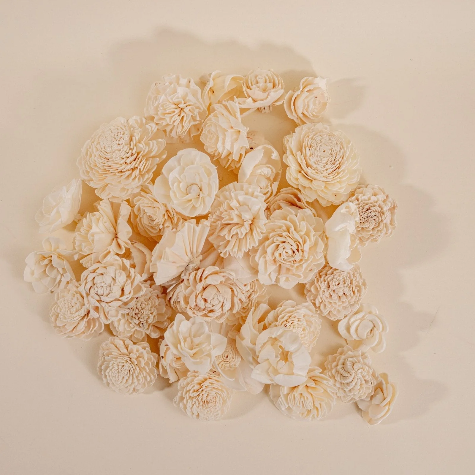 Wholesale Starter Bundle - Image 7